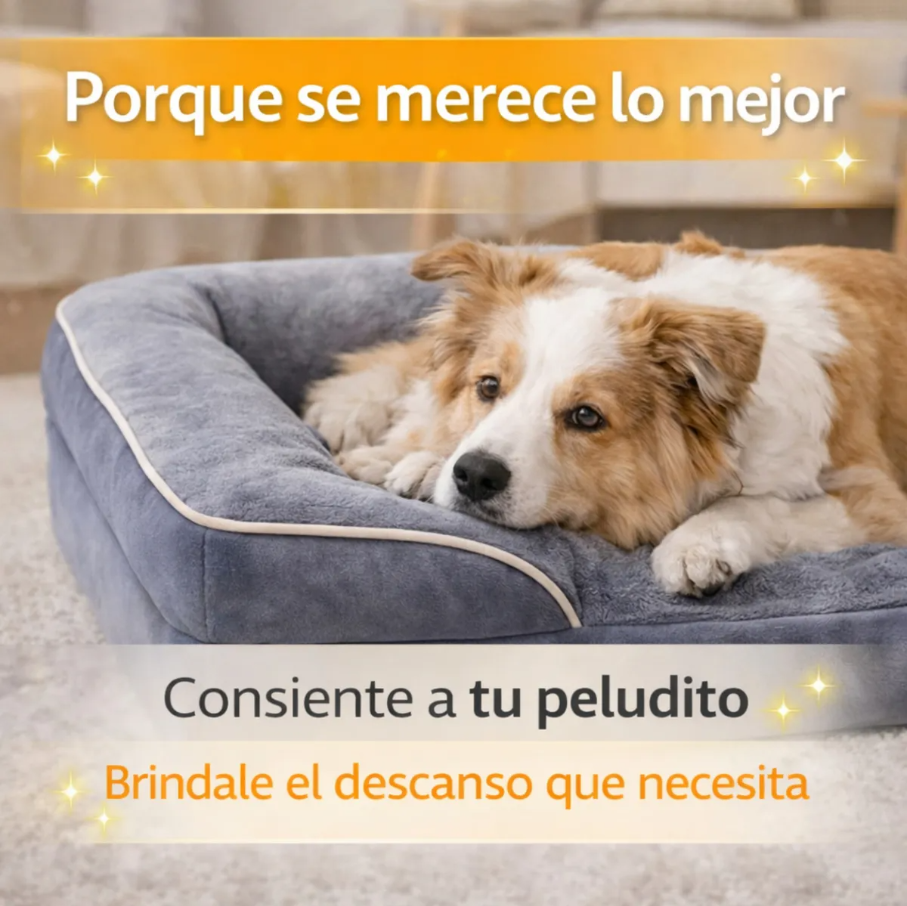 Cama Ortopédica para Mascotas