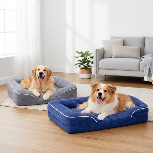 Cama Ortopédica para Mascotas