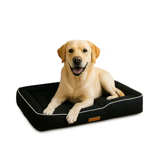 Cucha Cama Acolchada Impermeable Mascota Perro Chico Talle S Negro Liso