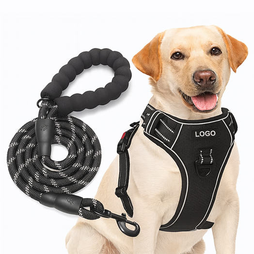 Pechera Arnés Anti Tirones + Correa Rosa Para Paseo Perro O Gato Talle S, M, L y XL