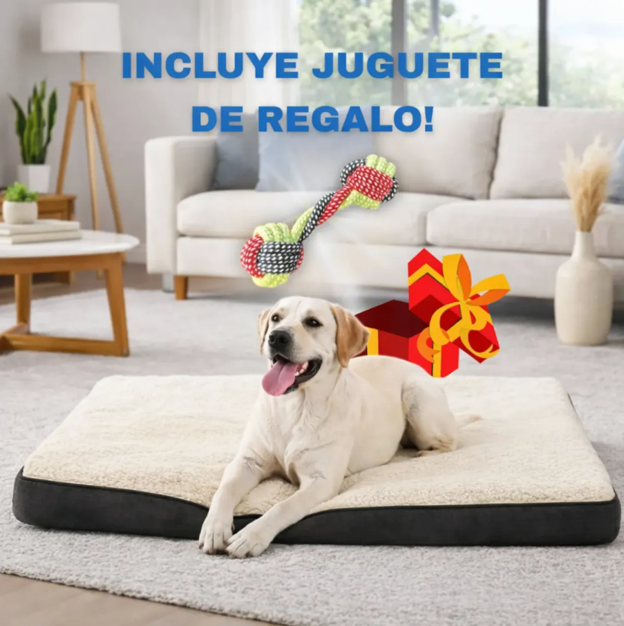 Cama Ortopédica Para Mascotas Invierno/Verano