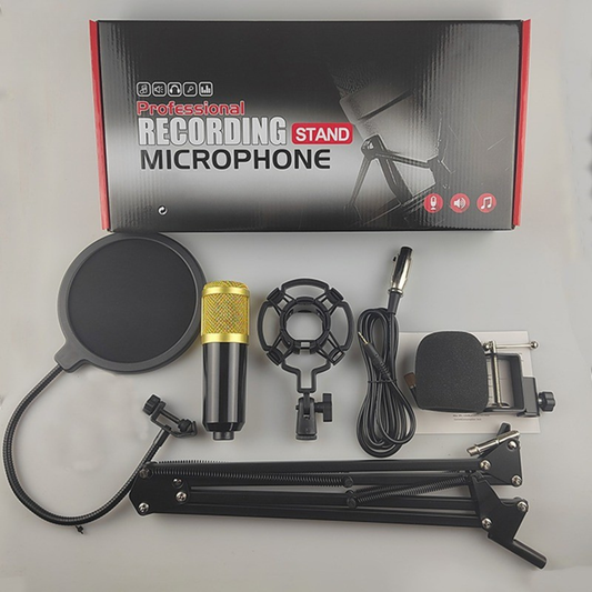 Micrófono Condensador Profesional