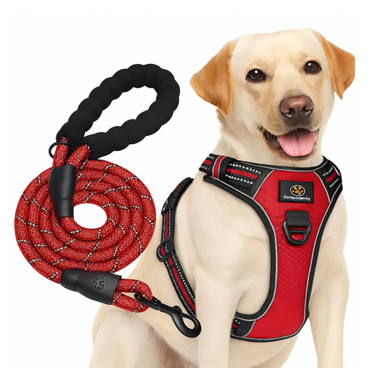 Pechera Arnés Anti Tirones + Correa Rosa Para Paseo Perro O Gato Talle S, M, L y XL
