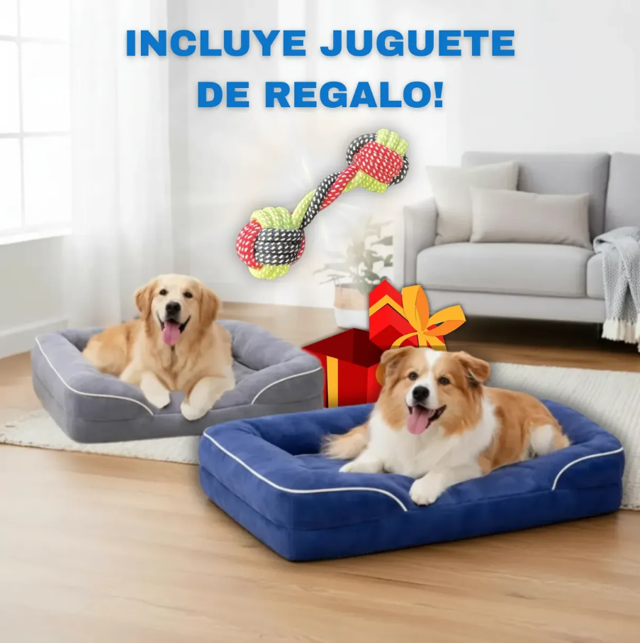 Cama Ortopédica para Mascotas