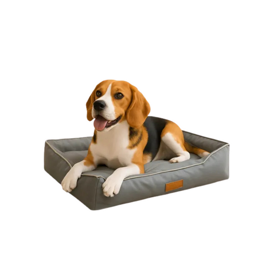 Cucha Cama Acolchada Impermeable Mascota Perro Chico Talle S Negro Liso