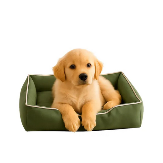 Cucha Cama Acolchada Impermeable Mascota Perro Chico Talle S Negro Liso
