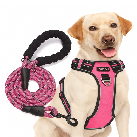 Pechera Arnés Anti Tirones + Correa Rosa Para Paseo Perro O Gato Talle S, M, L y XL