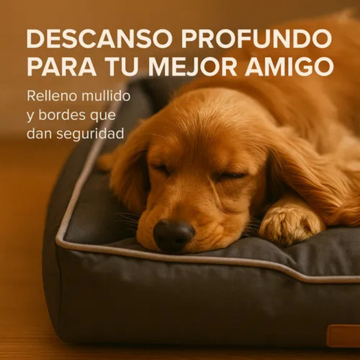 Cucha Cama Para Mascotas Acolchada Impermeable tamaño Mediano M