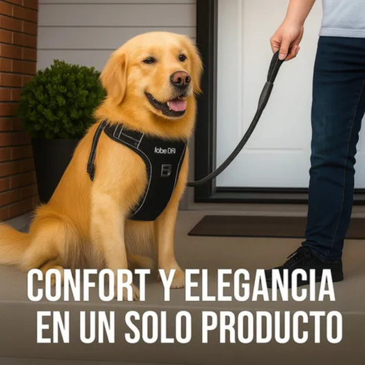 Pechera Arnés Anti Tirones + Correa Rosa Para Paseo Perro O Gato Talle S, M, L y XL