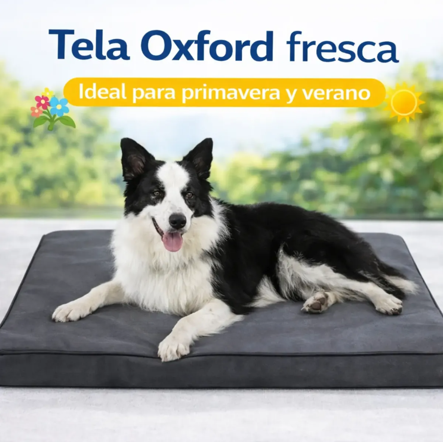Cama Ortopédica Para Mascotas Invierno/Verano