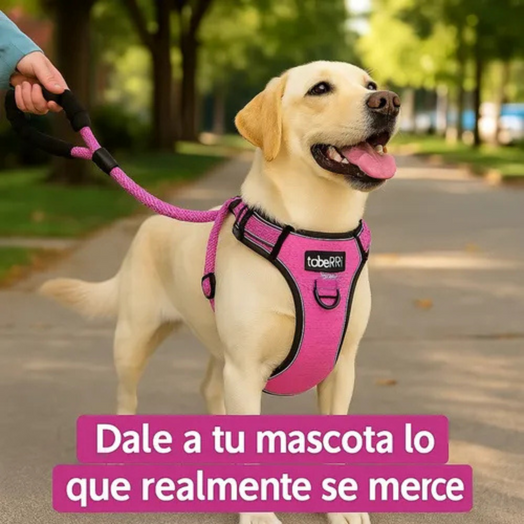 Pechera Arnés Anti Tirones + Correa Rosa Para Paseo Perro O Gato Talle S, M, L y XL