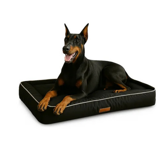 Cucha Cama Para Mascotas Acolchada Impermeable tamaño Mediano M