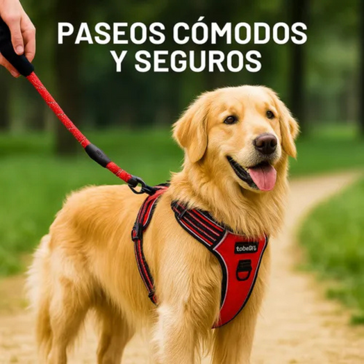 Pechera Arnés Anti Tirones + Correa Rosa Para Paseo Perro O Gato Talle S, M, L y XL
