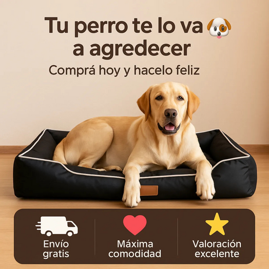 Cucha Cama Acolchada Impermeable Mascota Perro Chico Talle S Negro Liso