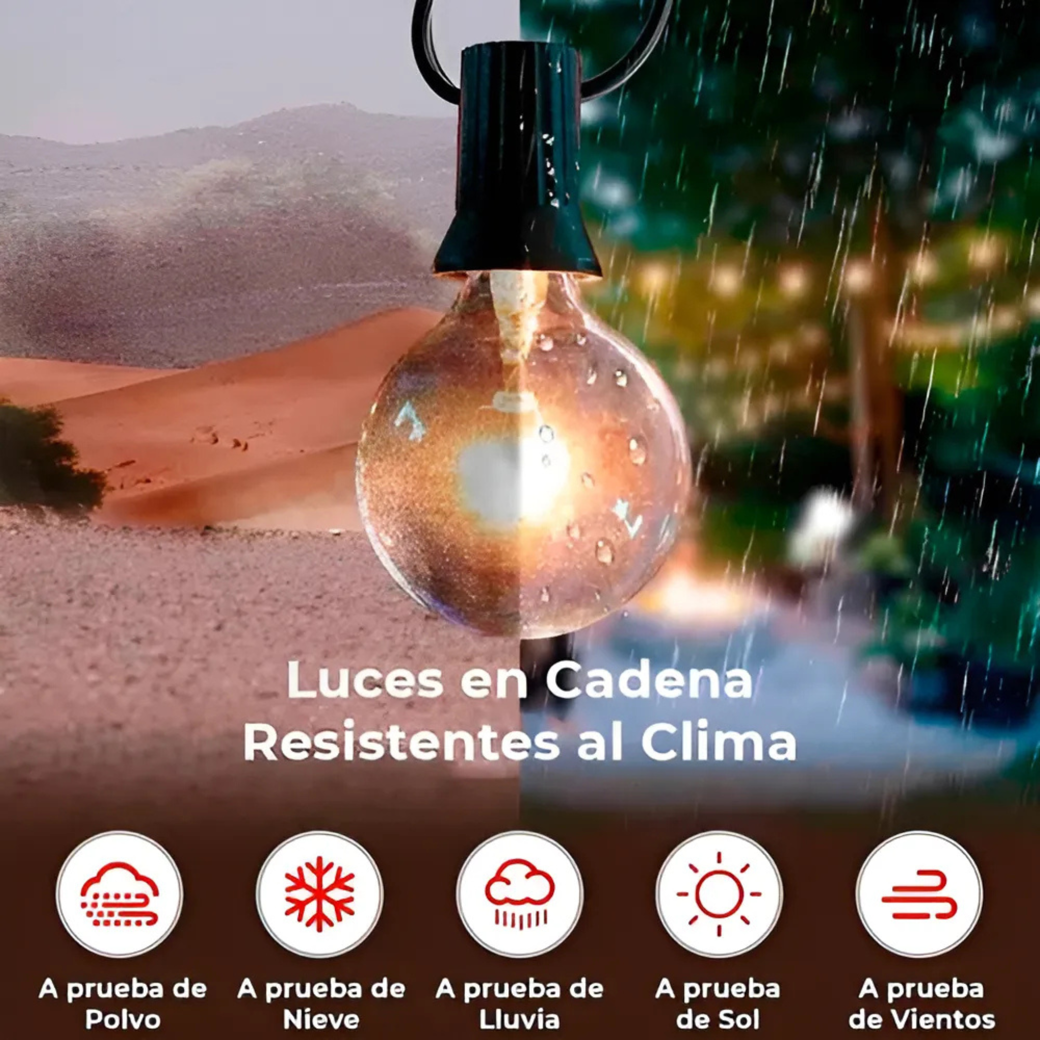 Guirnalda De Luces 25 Bombillas