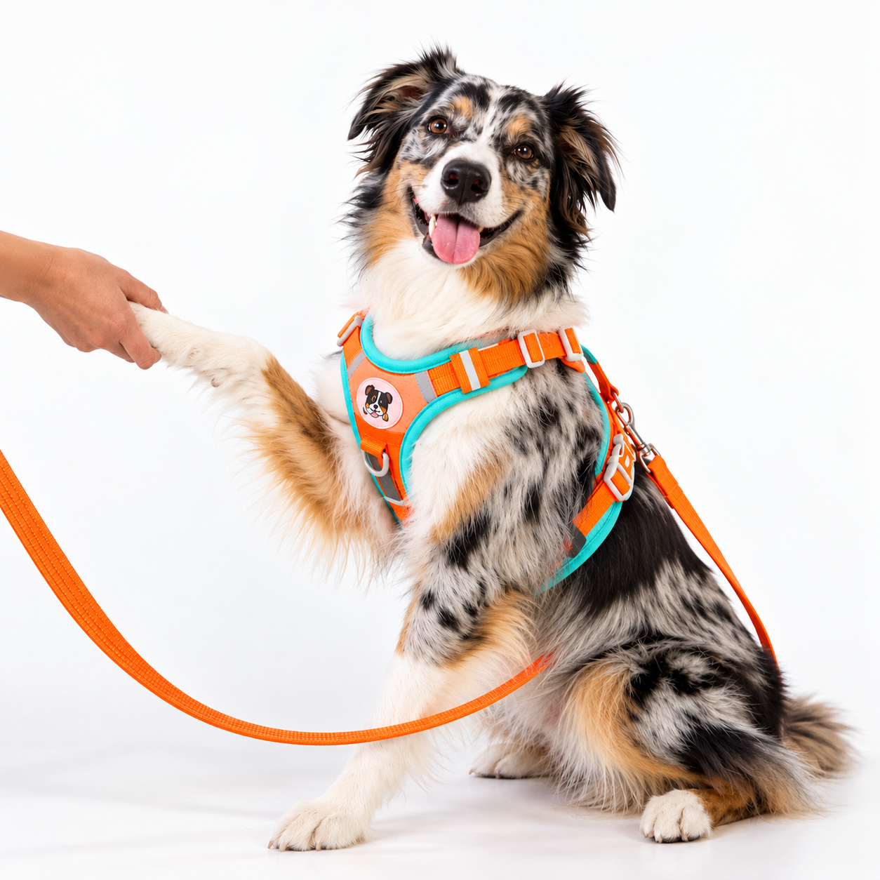 Pechera Ajustable para Perros y Gatos con Correa Incluida