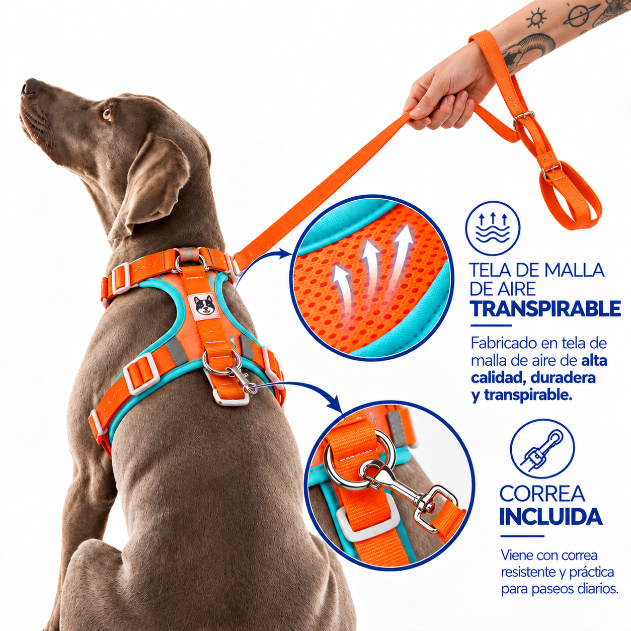 Pechera Ajustable para Perros y Gatos con Correa Incluida