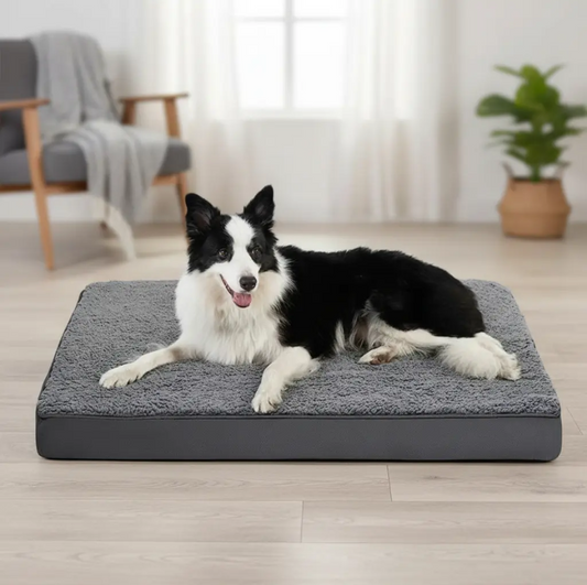Cama Ortopédica Para Mascotas Invierno/Verano